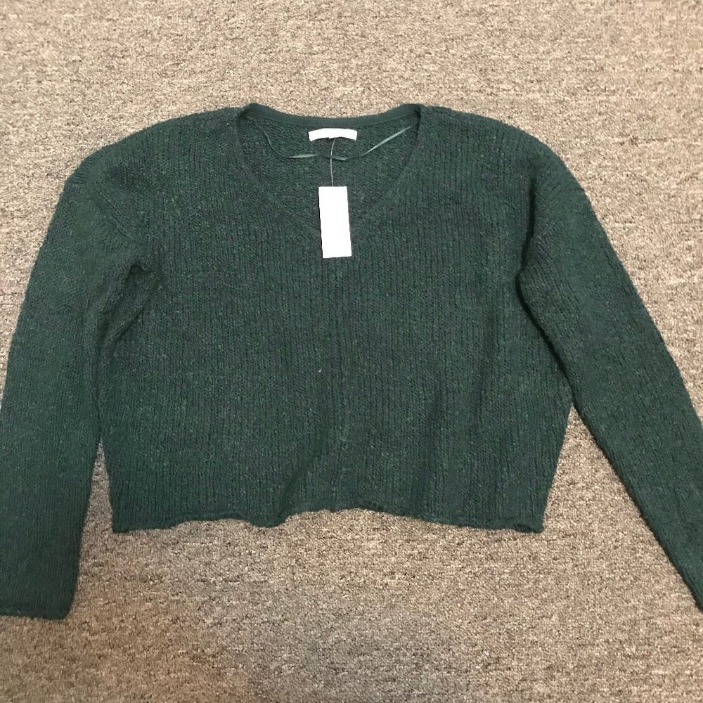 Pacsun Cropped Sweater